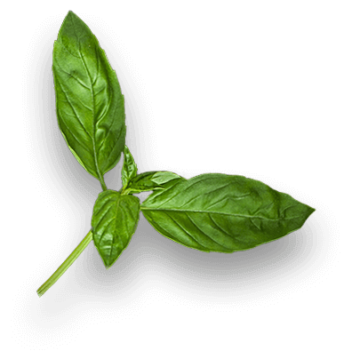 Блюда ресторана