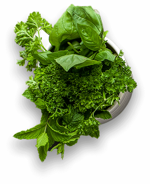 Блюда ресторана